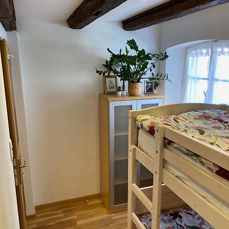 Apartament Le 128, Duplex Alsacien 10 Personnes, Piscine Horbourg Zewnętrze zdjęcie