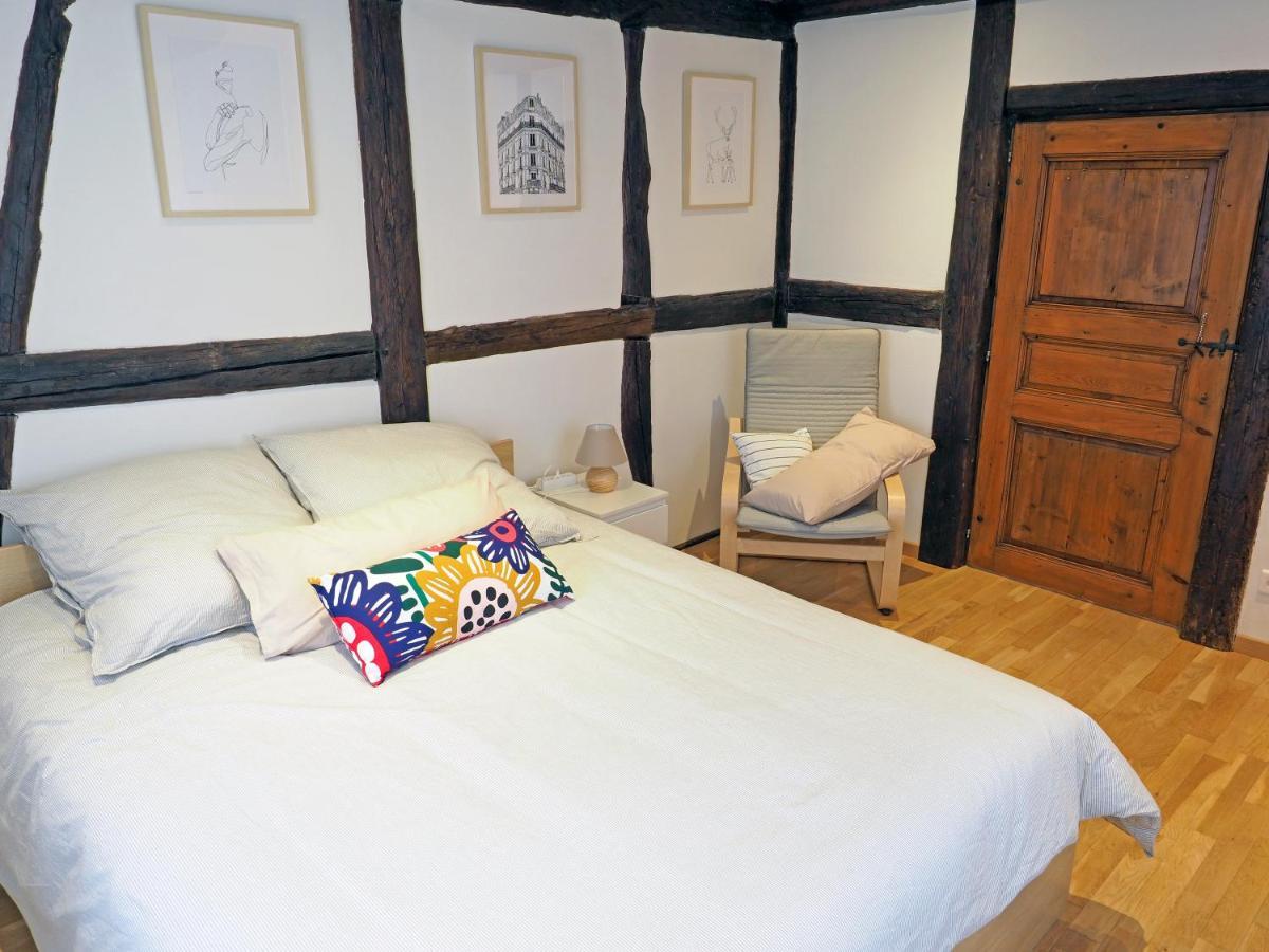 Apartament Le 128, Duplex Alsacien 10 Personnes, Piscine Horbourg Zewnętrze zdjęcie