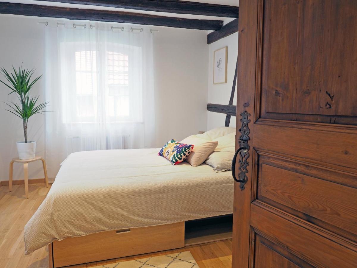 Apartament Le 128, Duplex Alsacien 10 Personnes, Piscine Horbourg Zewnętrze zdjęcie