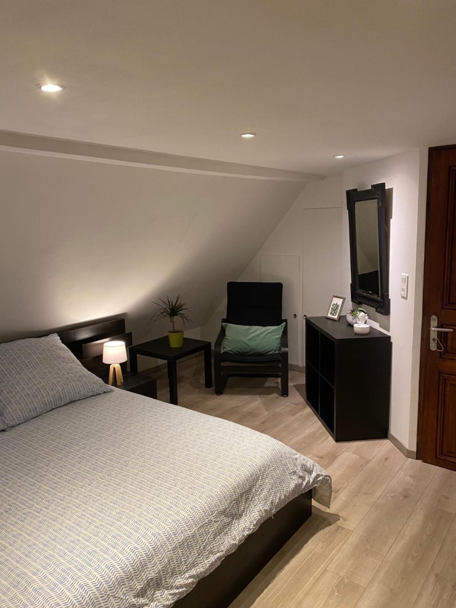 Apartament Le 128, Duplex Alsacien 10 Personnes, Piscine Horbourg Zewnętrze zdjęcie